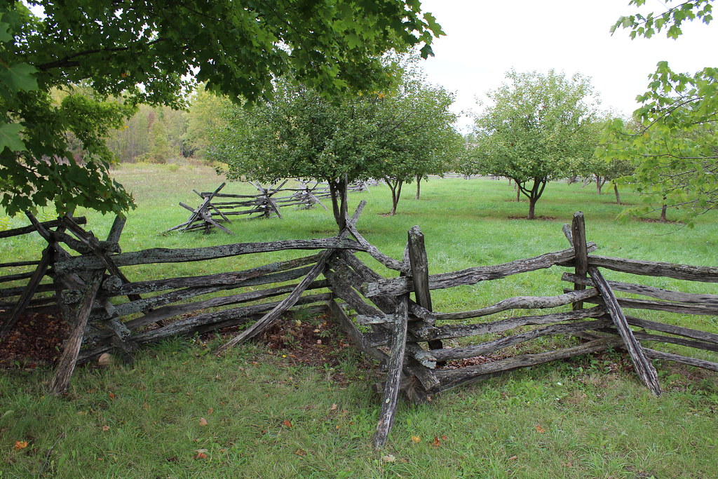Family-Owned Farms Dominate (image credits: flickr)