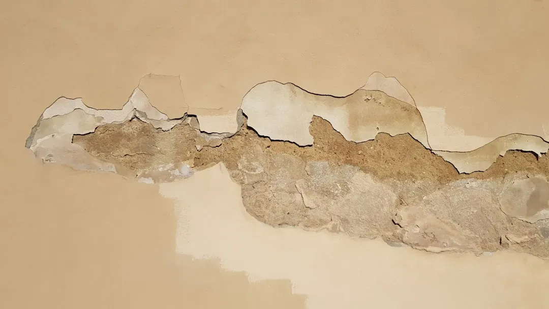 Mold and Leaks Invading Fresh Interiors (Image Credits: Unsplash)