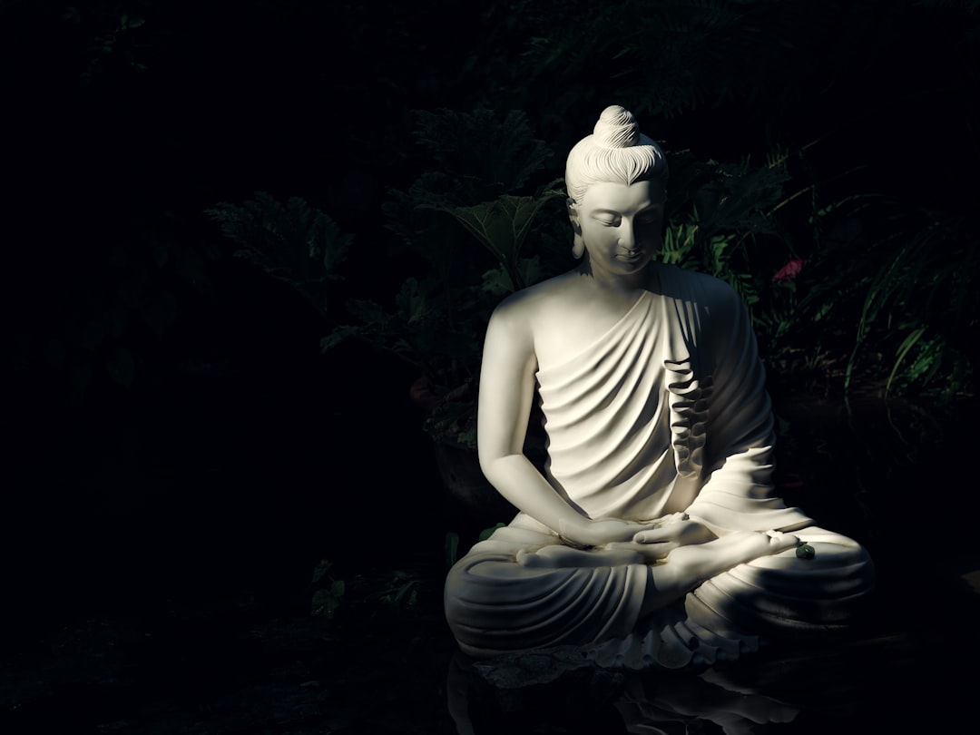 Your Intuitive Toolkit for 2025 (image credits: unsplash)