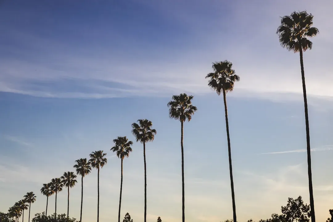 Population Ticks Up Three Years Running (Image Credits: Unsplash)