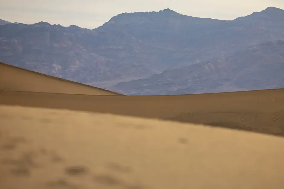 The Immense Size Revealed (Image Credits: Pexels)