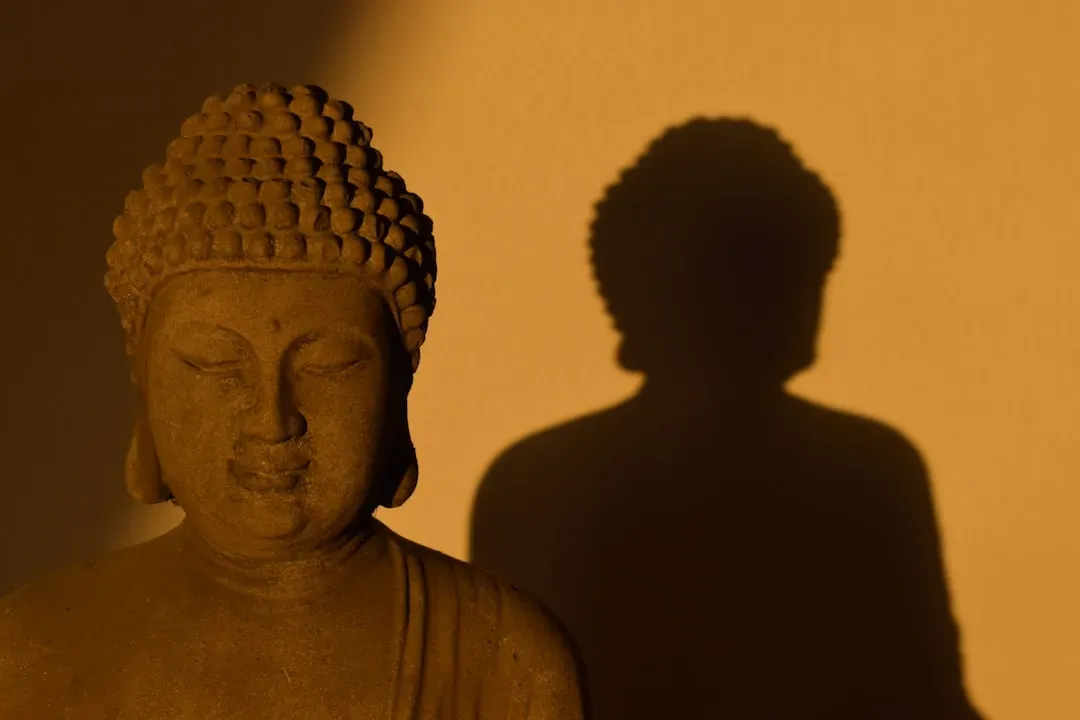 Jung's Concept of the Shadow (Image Credits: Unsplash)