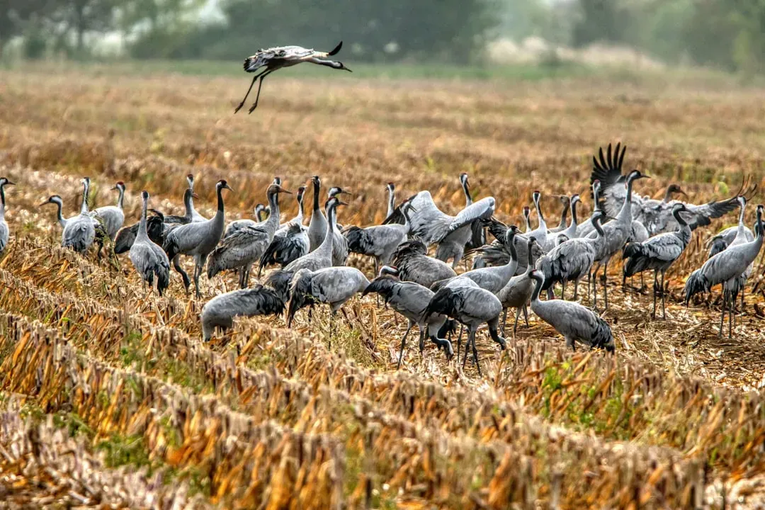 The Urban-to-Rural Migration Wave Nobody Talks About Honestly (Image Credits: Unsplash)