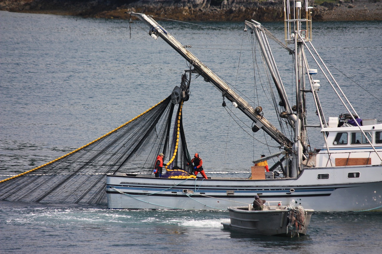 The Future of Alaska's Fishing Industry (image credits: pixabay)