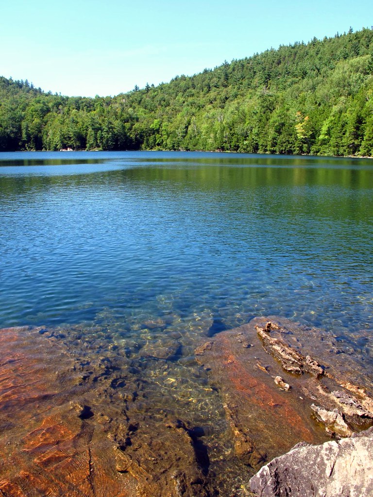 Clear Pond Trail's Pristine Wilderness (image credits: flickr)