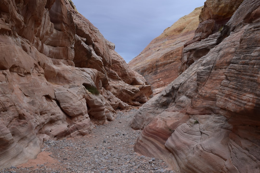 Apache Trail Canyon's Wild Desert Adventure (image credits: unsplash)