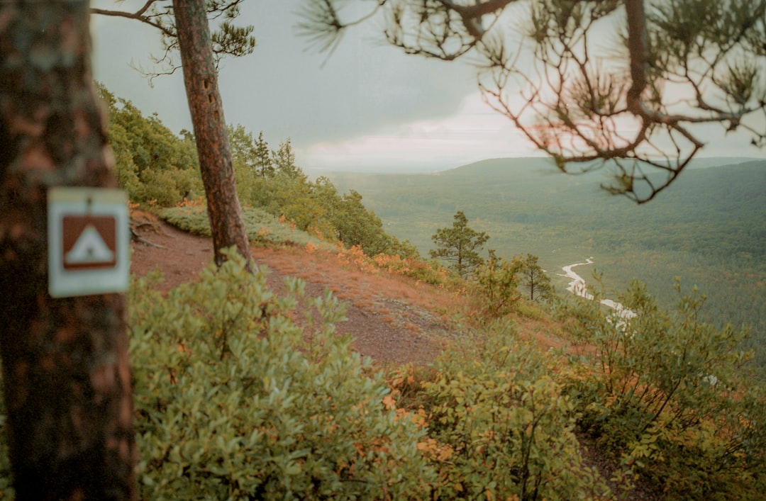 Porcupine Mountains Wilderness State Park, Michigan (image credits: unsplash)