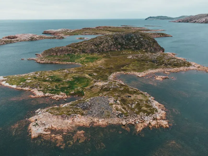 Disease: The Silent Killer They Fear Most (Image Credits: Pexels)