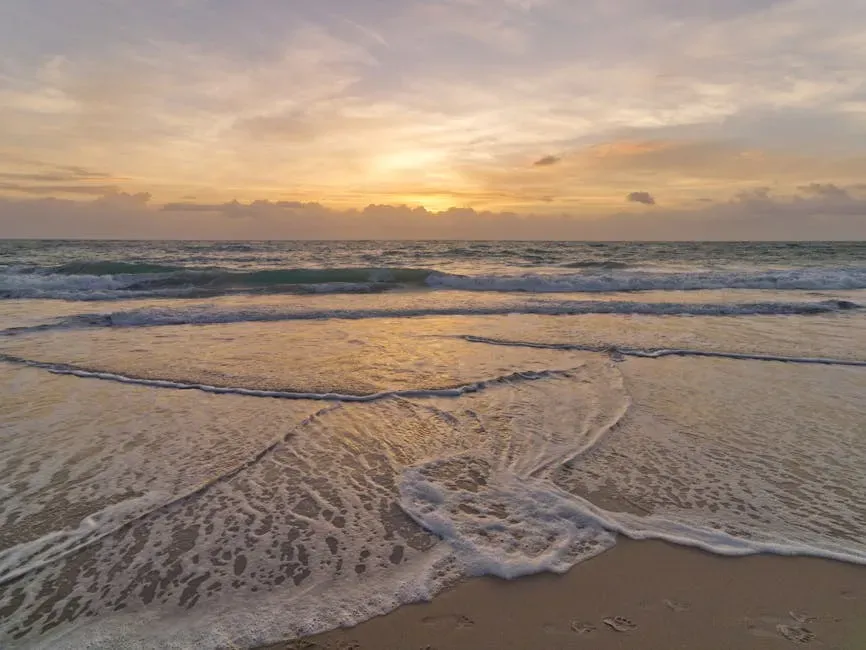 Vero Beach Brings a Youthful Shift to a Classic Spot (Image Credits: Pexels)