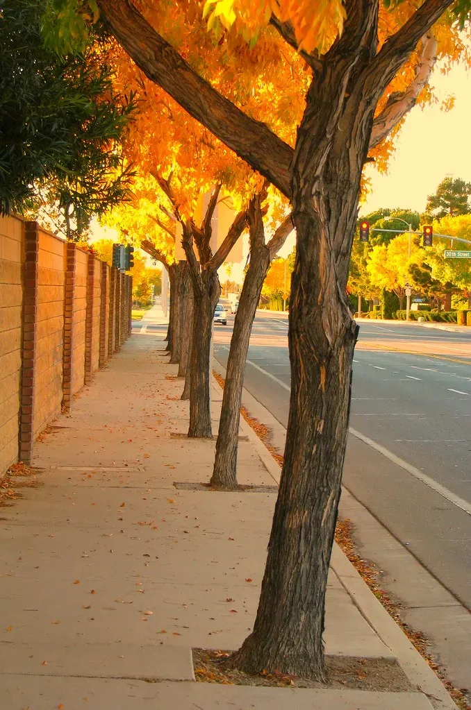 Route 3: The Natchez Trace Parkway - The South's Most Overlooked Highway (Rennett Stowe, Flickr, CC BY 2.0)