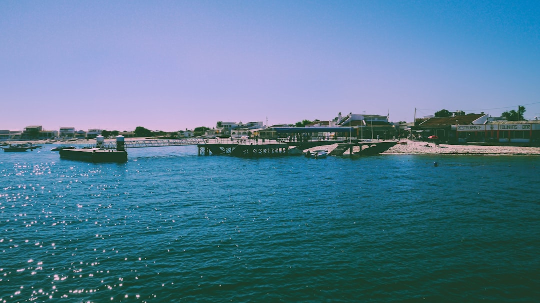 Nantucket's Population Paradox (image credits: unsplash)