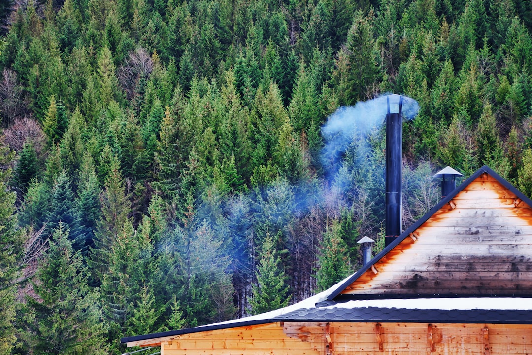 Wildfire Resiliency Code Board Sets New Standards (image credits: unsplash)