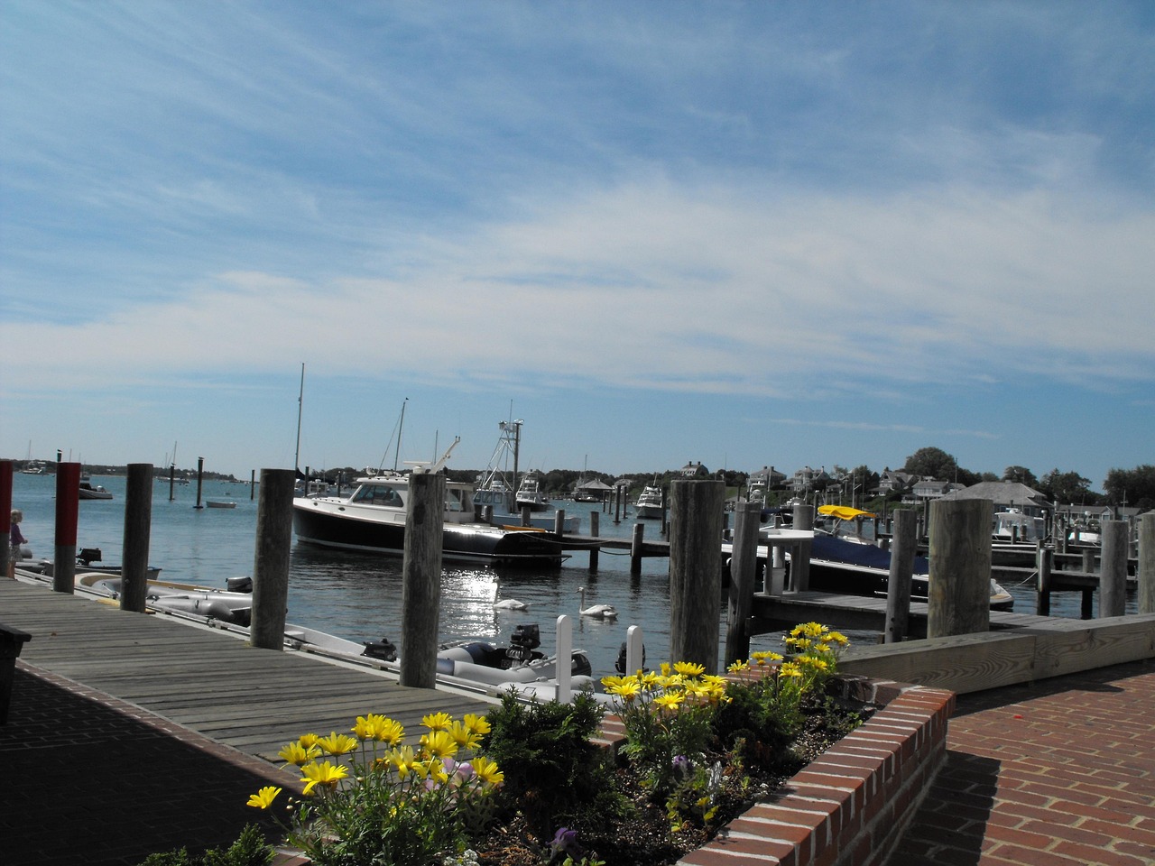 Martha's Vineyard's Modern Population Boom (image credits: pixabay)