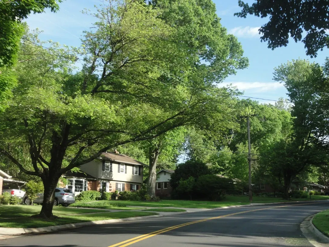 Suburban Sprawl Stifles Chance Encounters (Image Credits: Unsplash)
