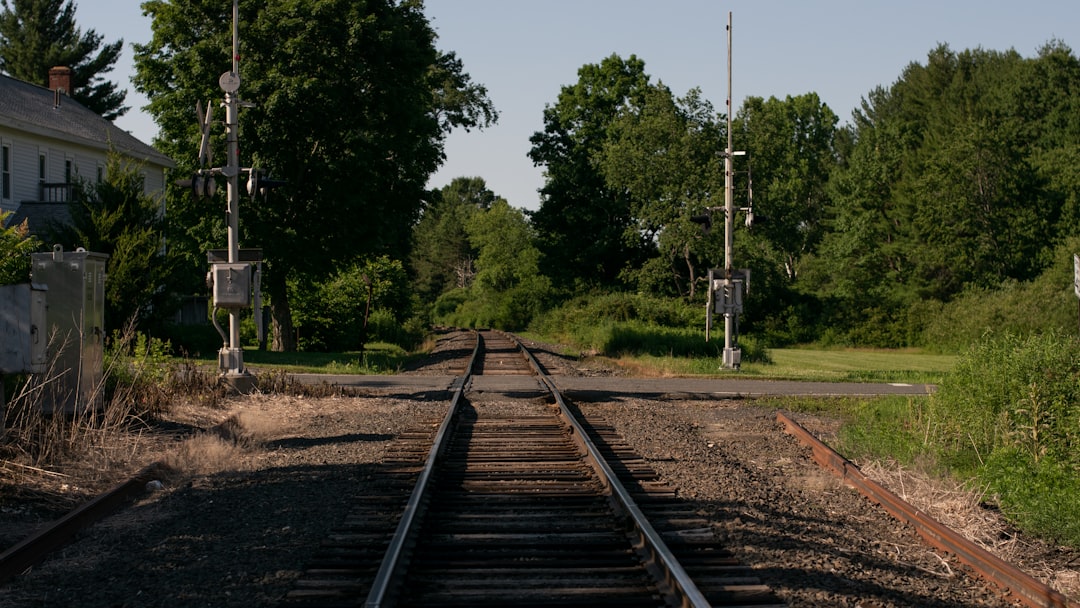 American Railroad Opponents: Fighting the Iron Horse Revolution (image credits: unsplash)