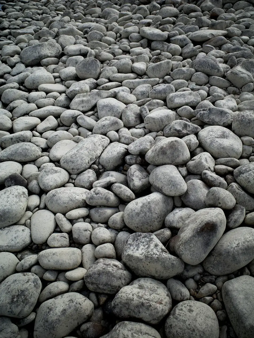 Rock Tumbling Is Making a Serious Comeback (Image Credits: Unsplash)