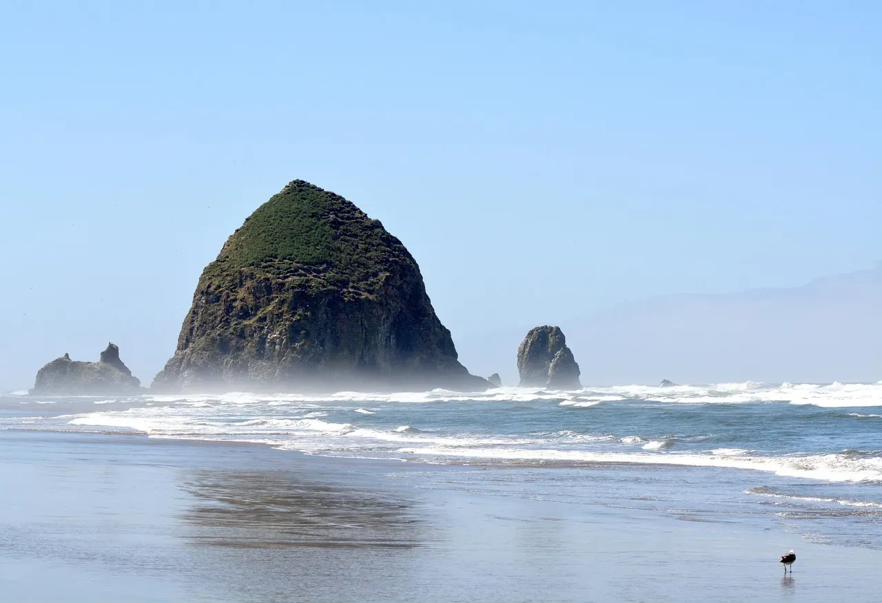 Aquarius: Find Quirk in Cannon Beach, Oregon (Image Credits: Pixabay)