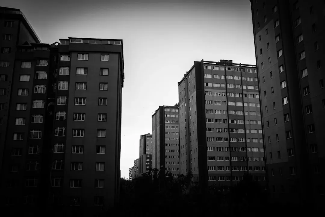 2. Blocking Roads for That Perfect Instagram Shot (Image Credits: Unsplash)