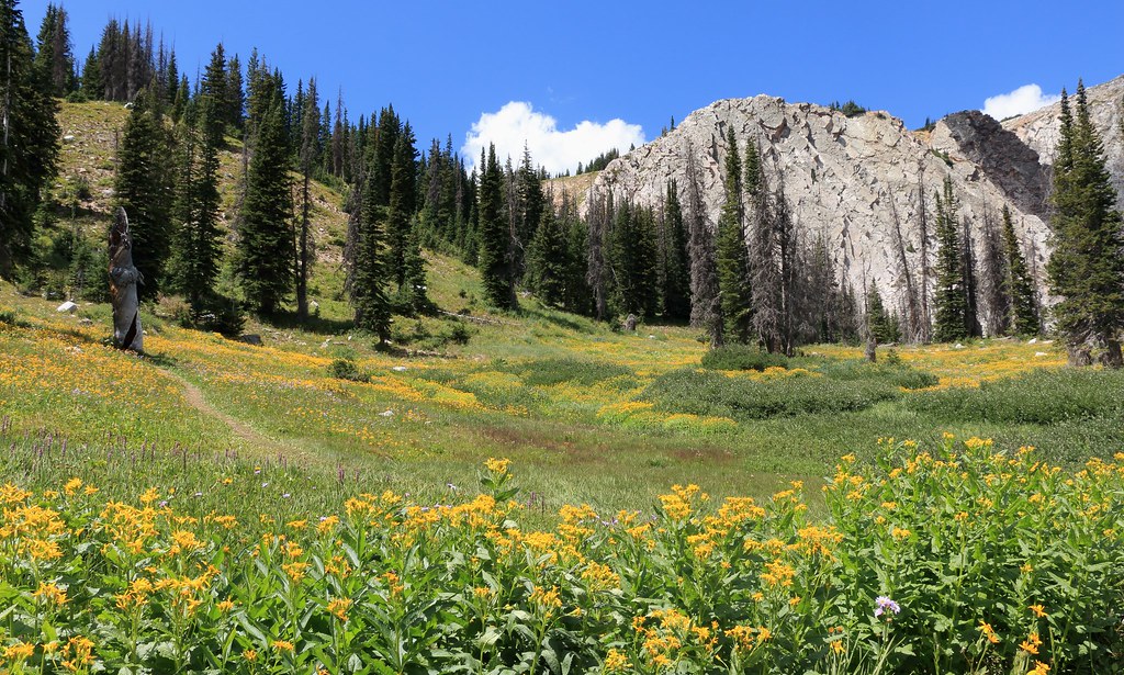 Wyoming: High Plains, Low Hurricane Risk (image credits: flickr)