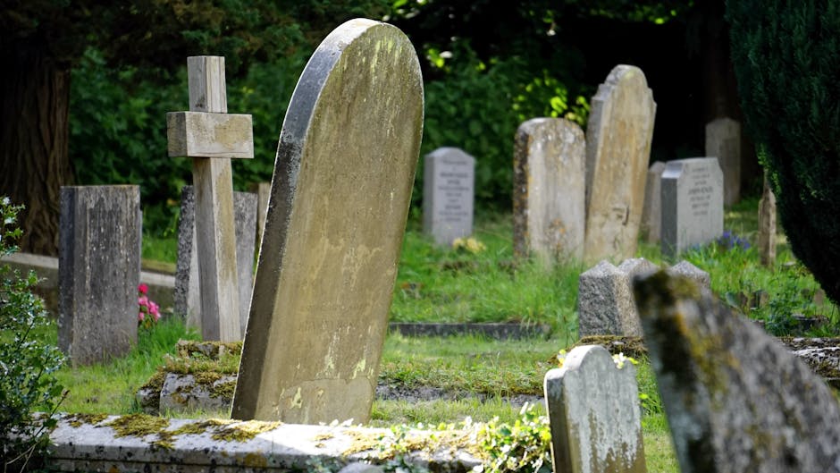 The Historical Context: What Lies Beneath (image credits: pexels)