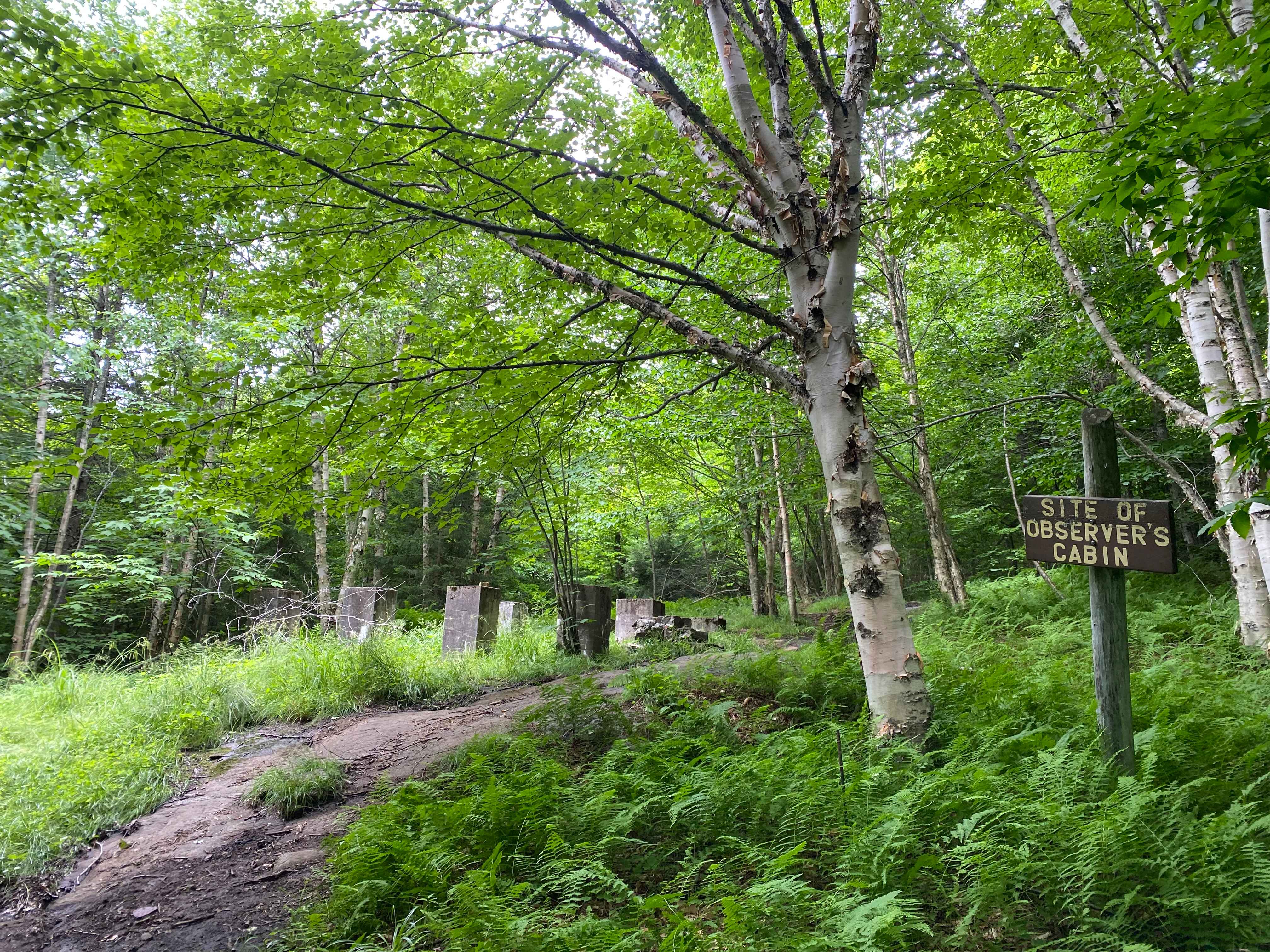 Owl Head Lookout - The Adirondack Gem Without the Crowds (image credits: wikimedia)