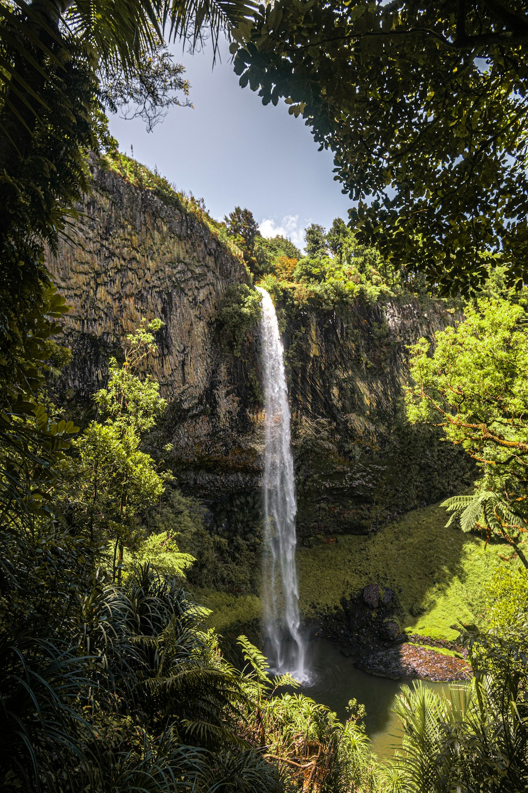 Plotter Kill Nature Reserve's Waterfall Paradise (image credits: unsplash)