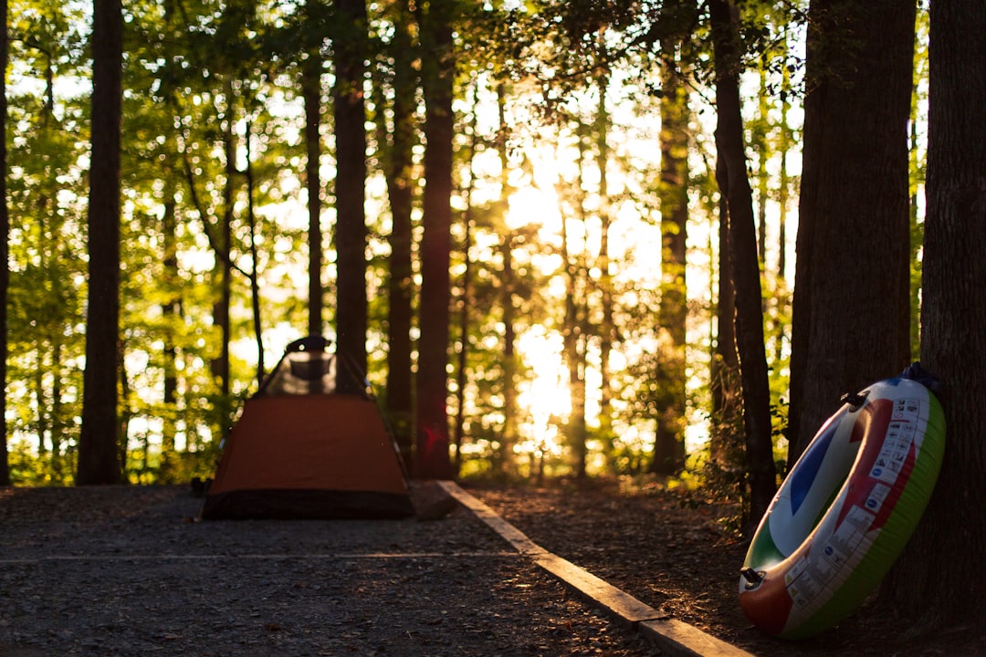 The Digital Detox Movement in State Parks (image credits: unsplash)
