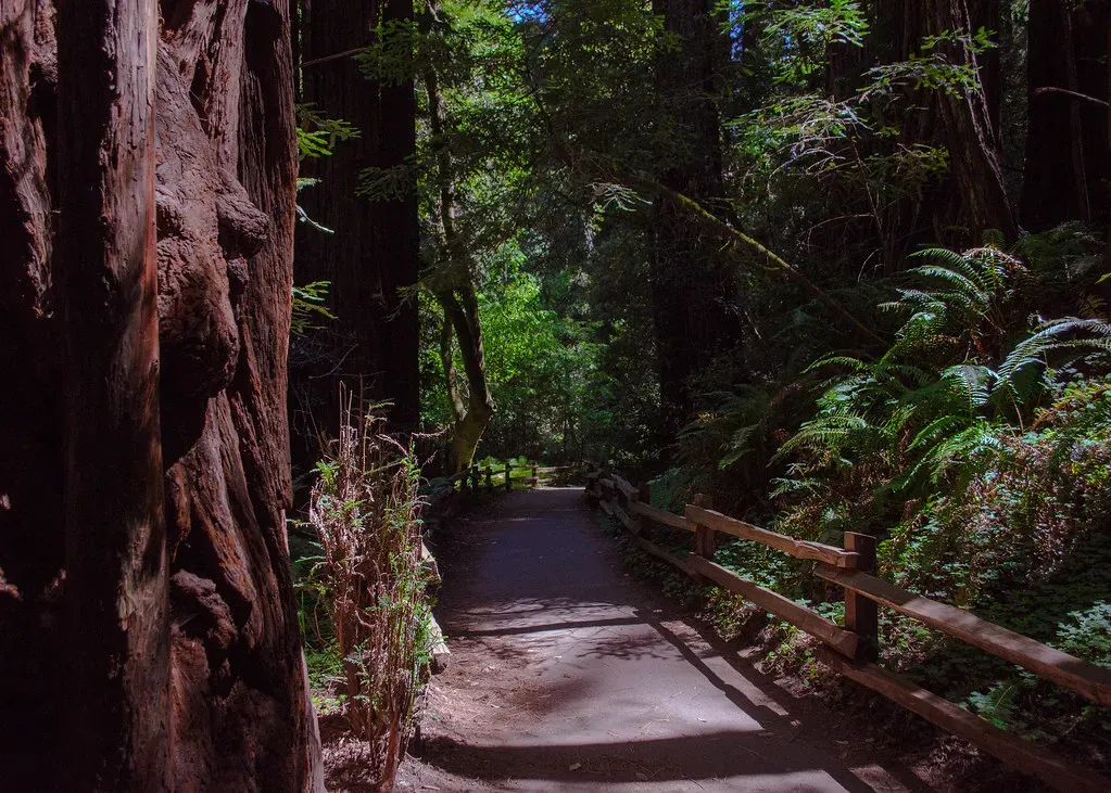 Endless Miles of Uncrowded Trails (Garden State Hiker, Flickr, CC BY 2.0)