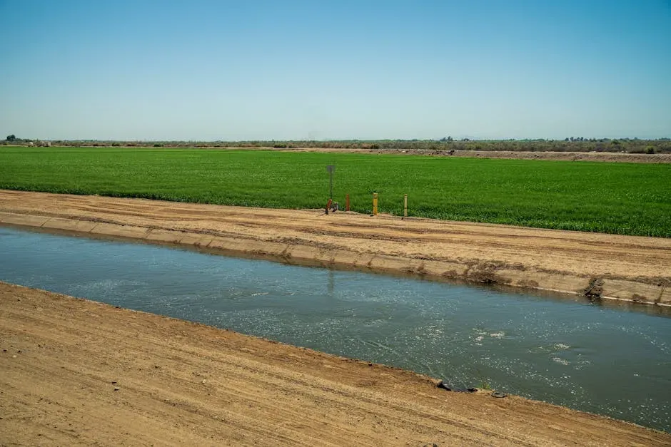 Investor Interest in Water-Secure Properties (Image Credits: Pexels)