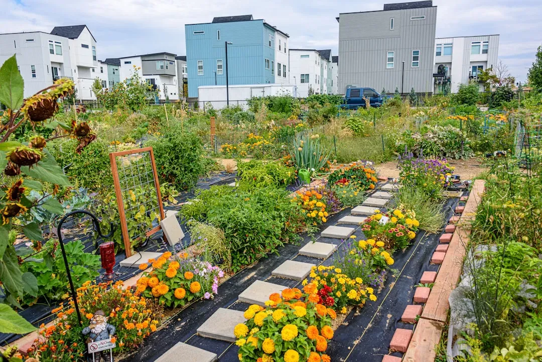 Community Gardens Transform Urban Wastelands Into Productive Hubs (Image Credits: Unsplash)