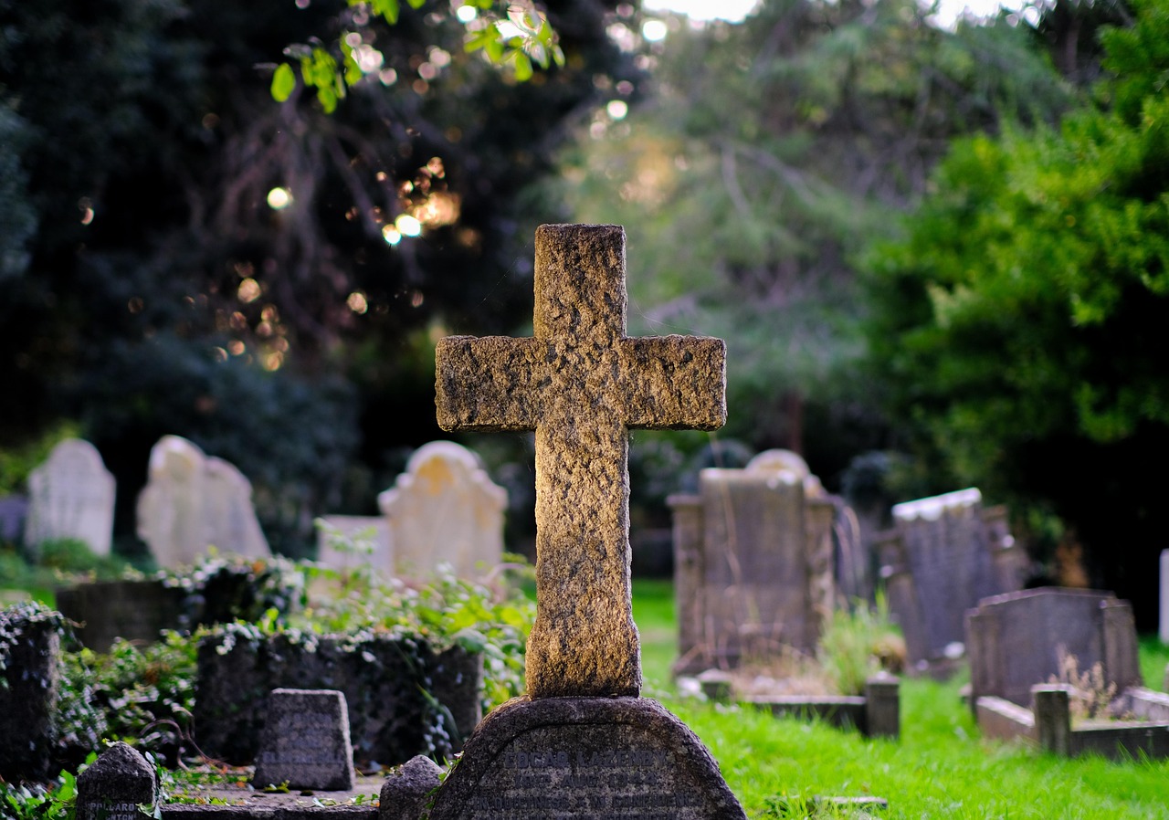 Media Coverage and Public Interest (image credits: pixabay)