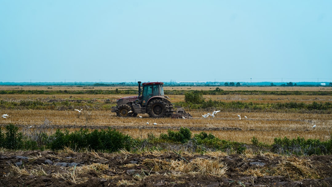 The Enlarged Homestead Act of 1909: Doubling Down on Dry Land Farming (image credits: unsplash)