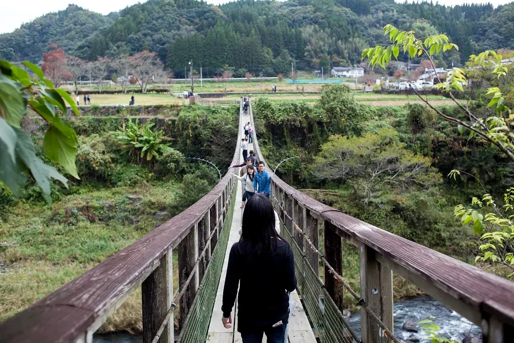 Conclusion: Love Them, Don't Lose Them (Image Credits: Flickr)