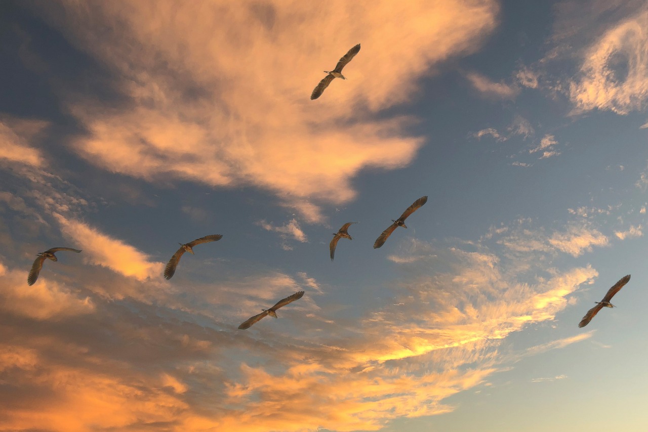 Record-Breaking Exodus from California (image credits: pixabay)