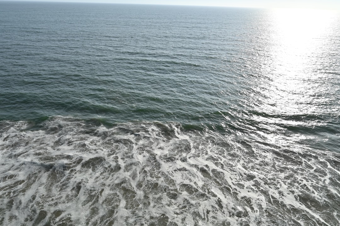 The Gulf Stream Slowdown Effect (image credits: unsplash)