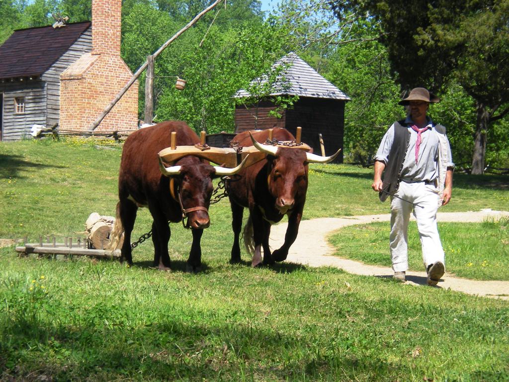 Agricultural Specialization and Global Supply Chains (image credits: wikimedia)