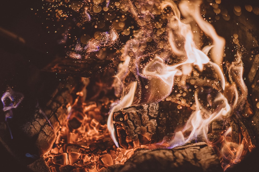 What Really Happened: Investigations and Theories (image credits: unsplash)