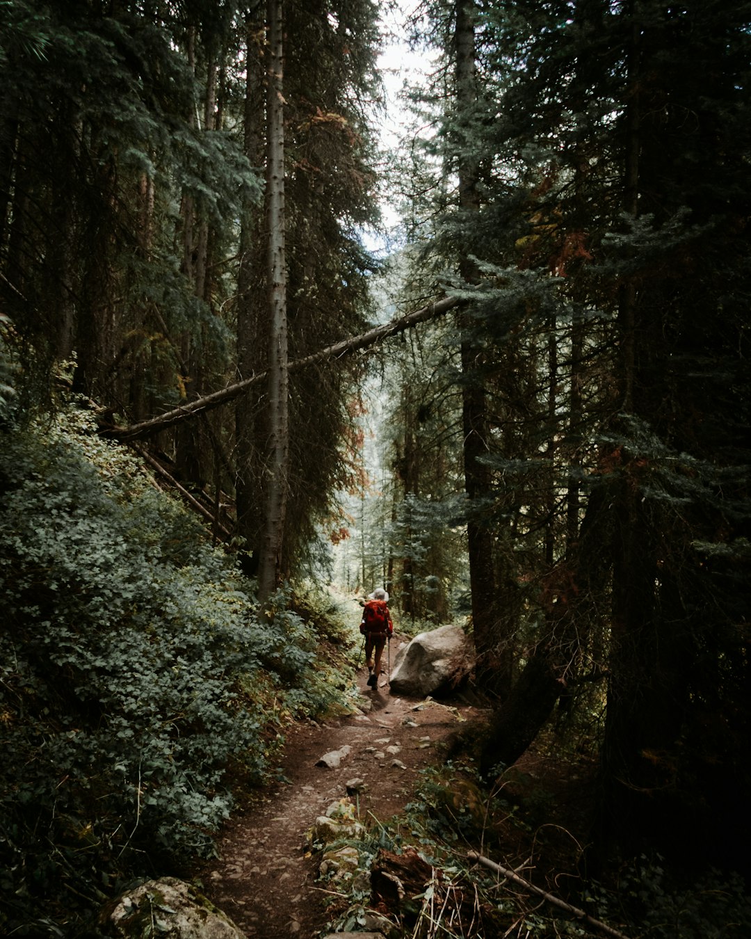 The Double-Edged Sword of Social Media Discovery (image credits: unsplash)