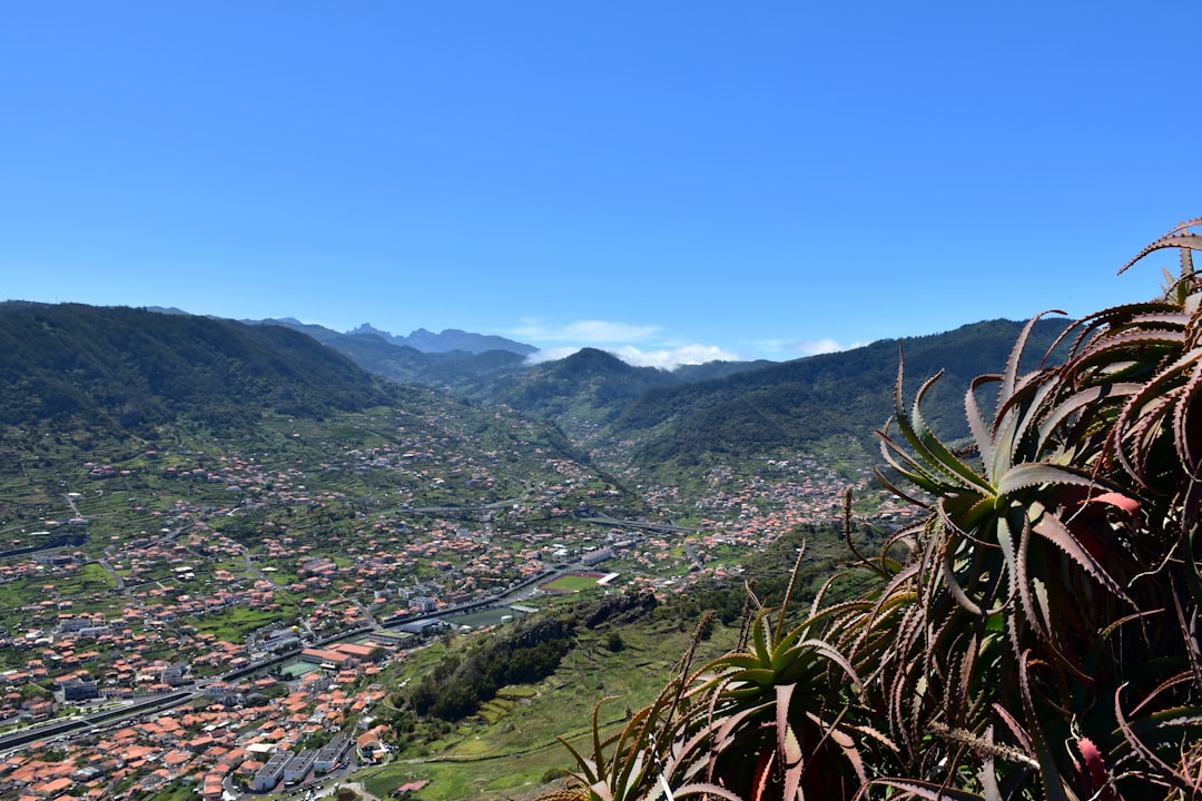 Ward's Remote Location Appeals to Off-Grid Enthusiasts (image credits: unsplash)