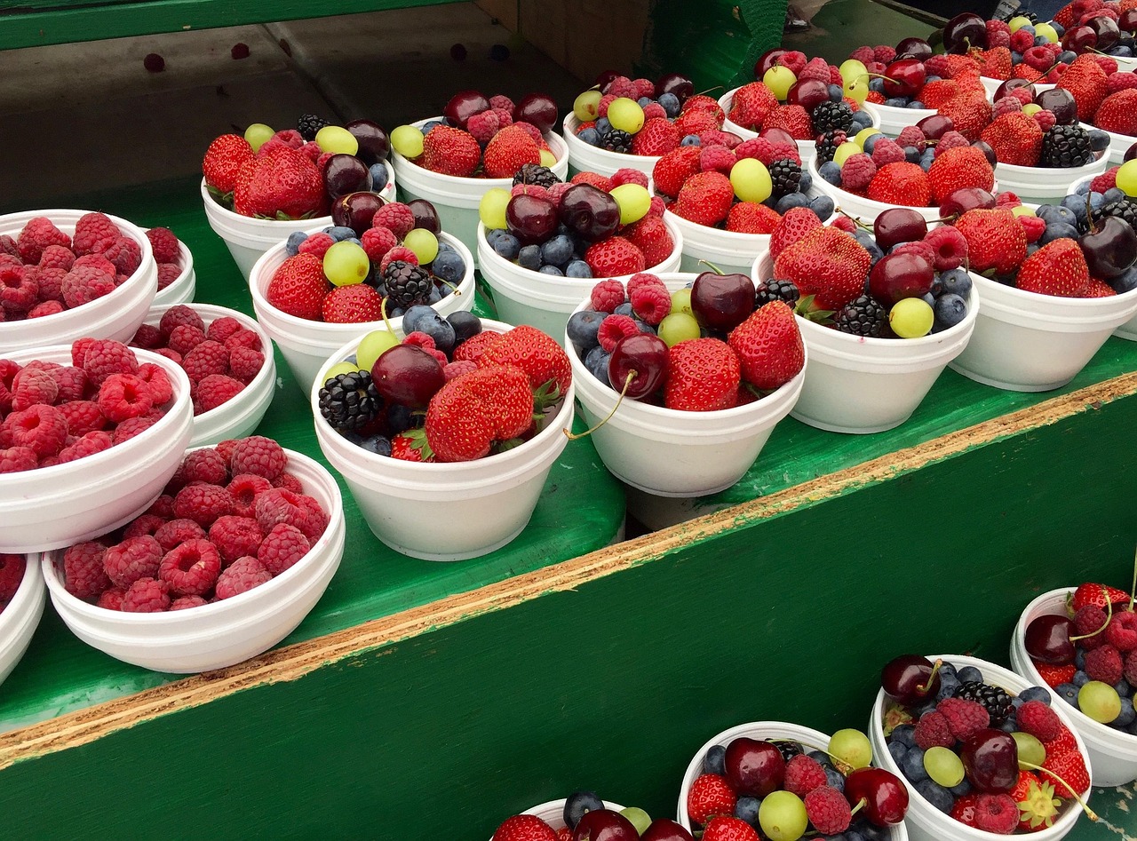 Exploring Plant-Based Alternatives (image credits: pixabay)