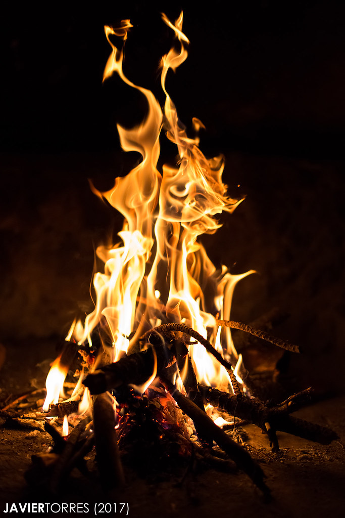 A Phoenix Rising from the Ashes (image credits: flickr)