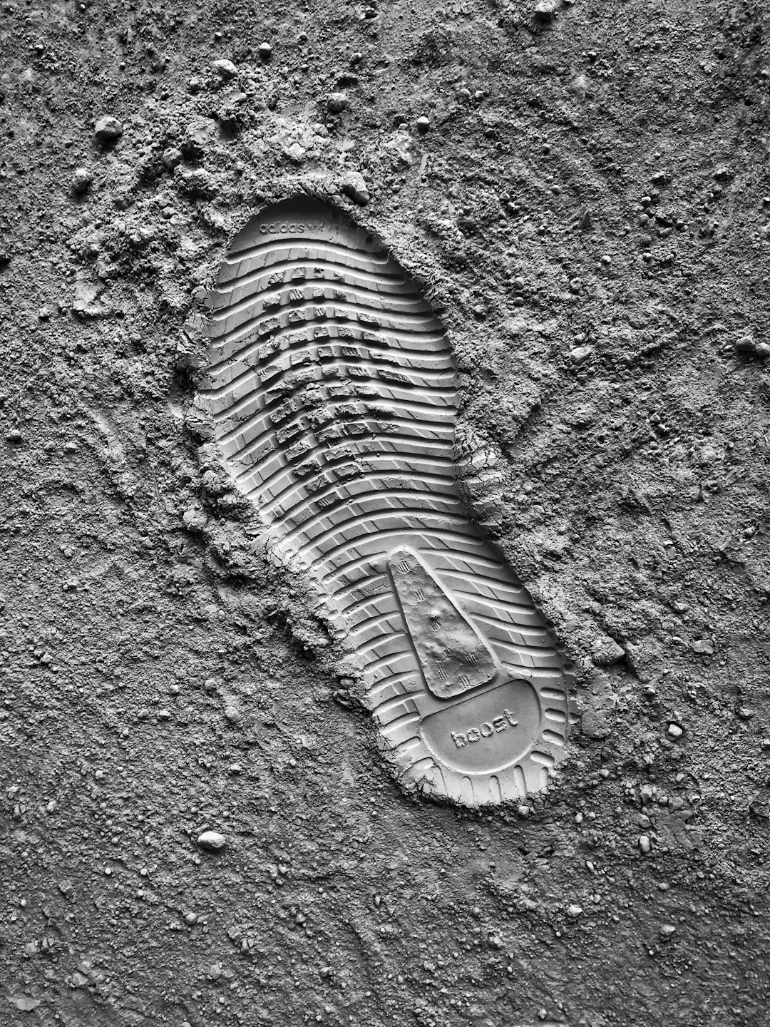 Understanding Your Carbon Footprint (image credits: unsplash)
