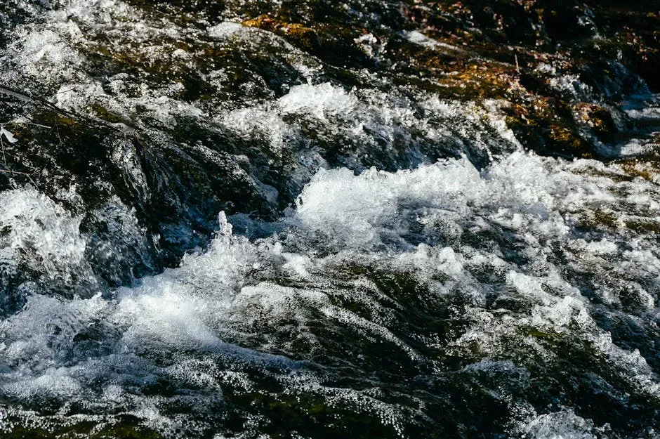 A Call to Mutual Flow (Image Credits: Pexels)