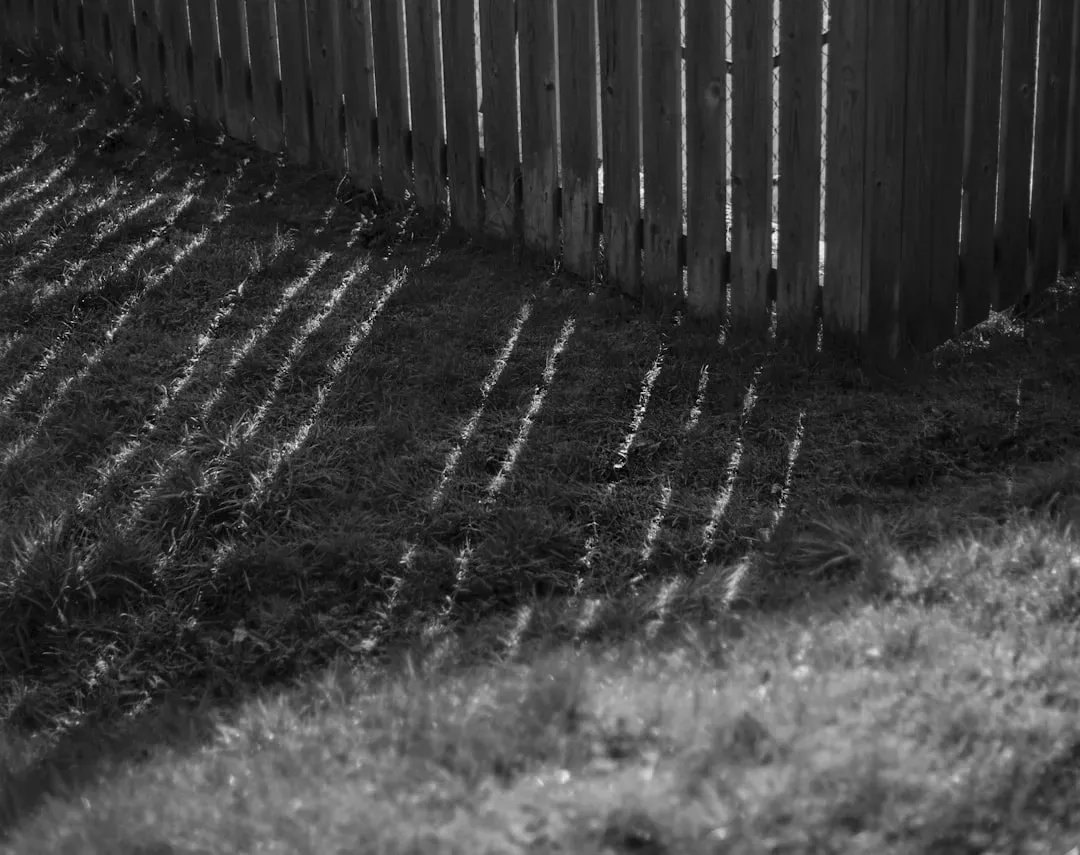 Neighbor Avoidance on the Rise (Image Credits: Unsplash)