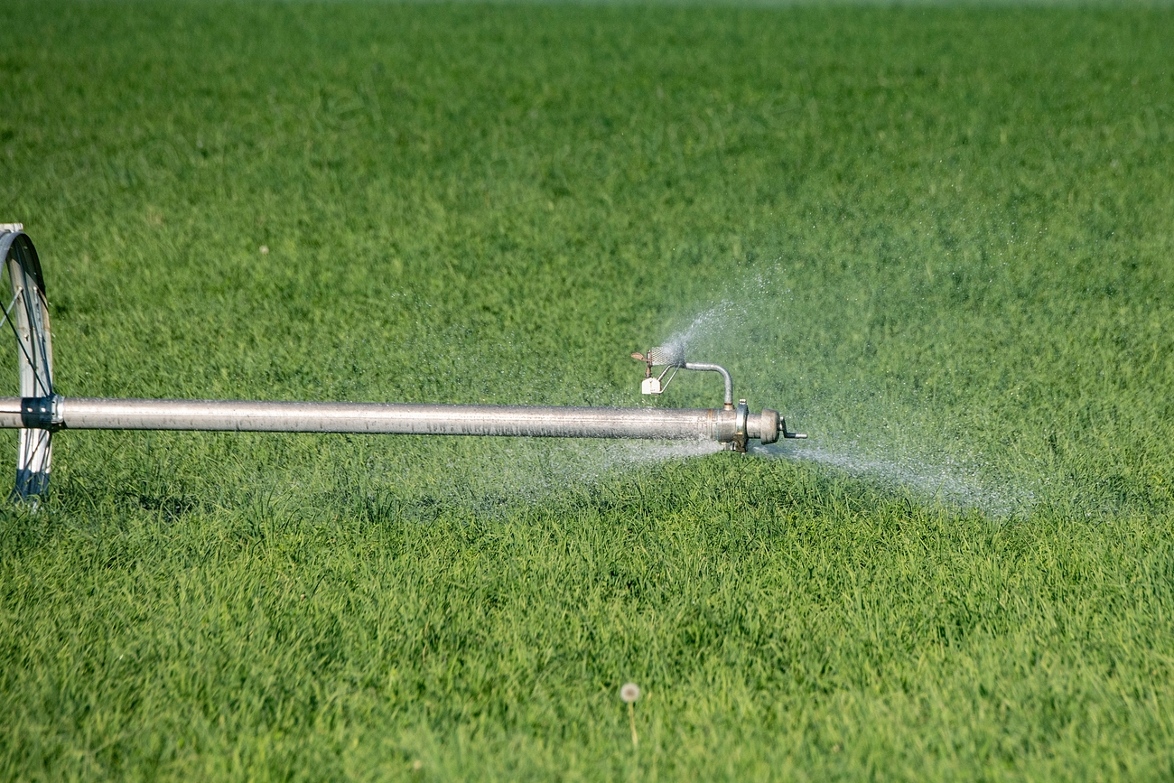 The Role of Agriculture in Water Consumption (image credits: rawpixel)