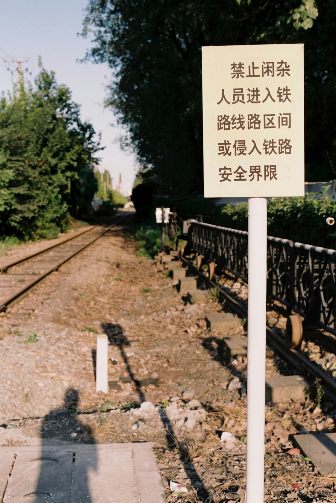 The Chinese Workers Who Built the West (image credits: unsplash)