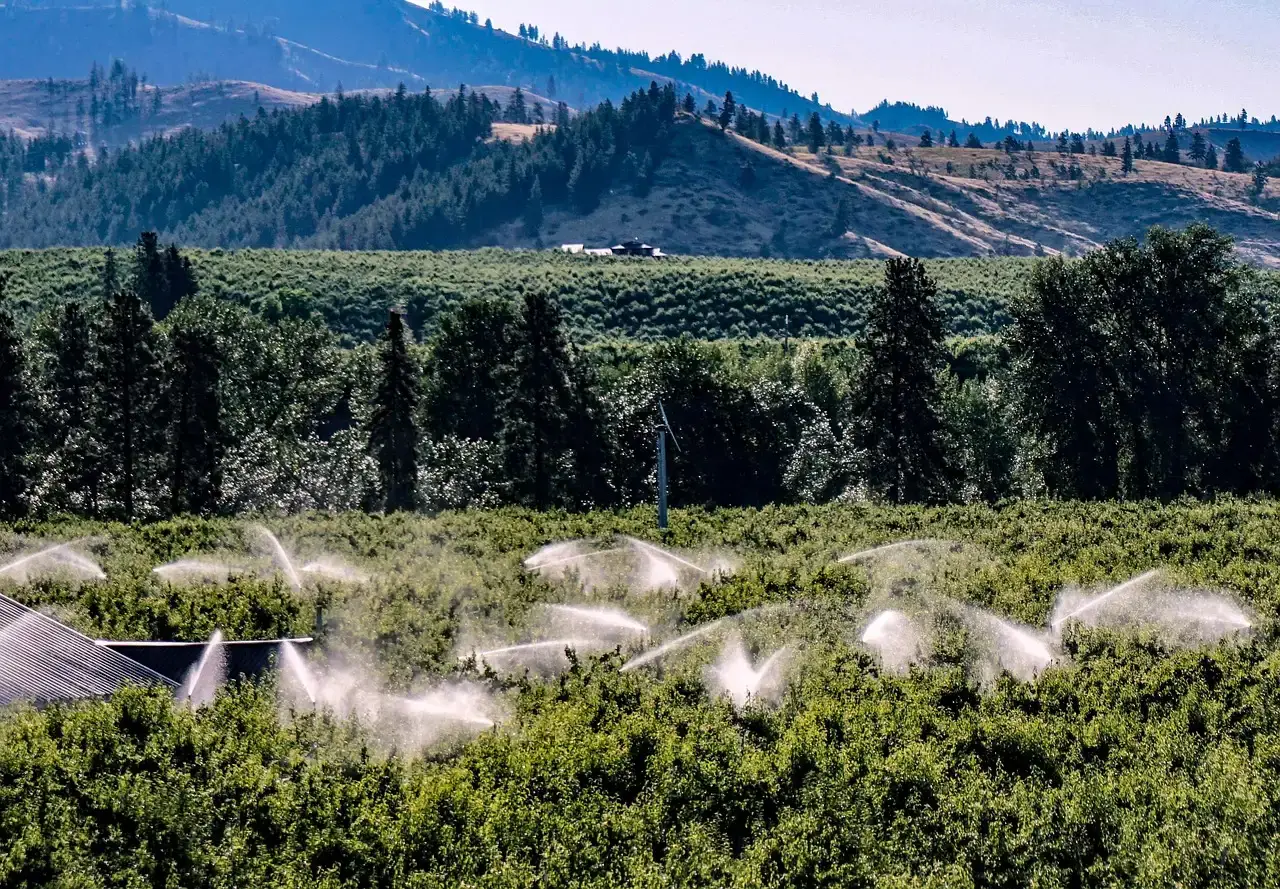 Washington and Oregon: The Pacific Northwest's Emotional Distance (Image Credits: Pixabay)