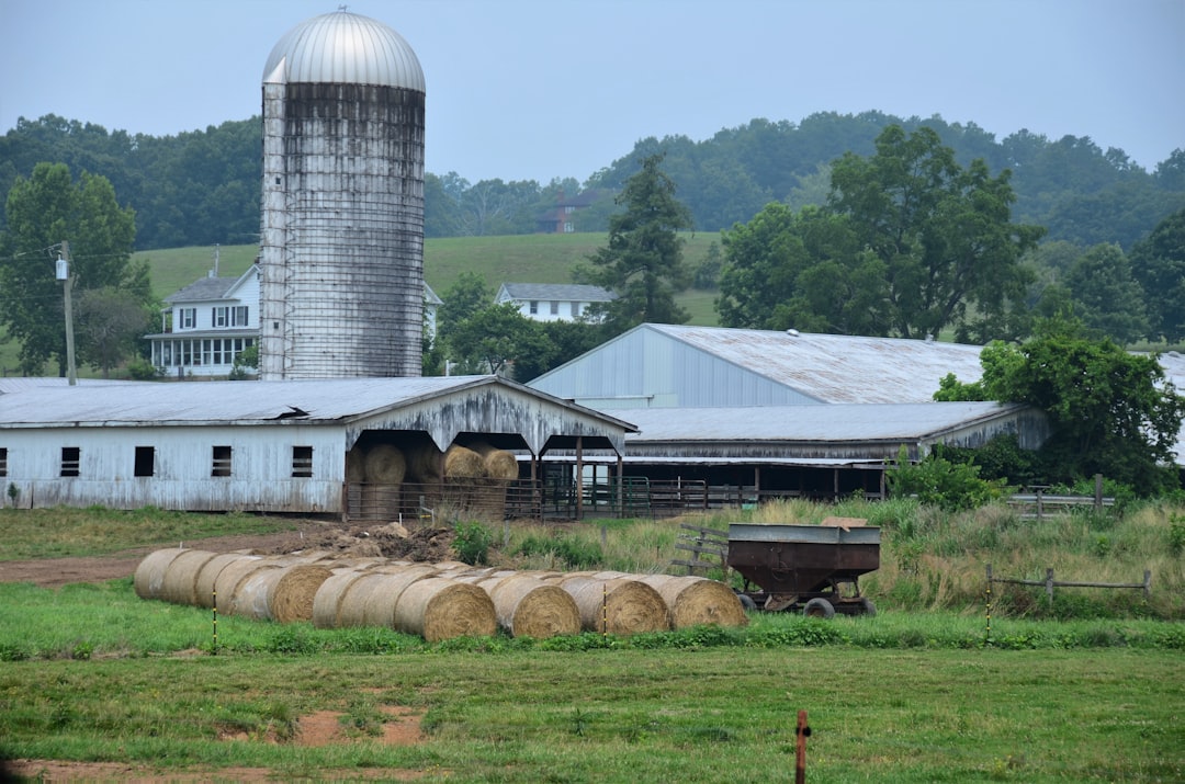 Arkansas – The Agricultural Comeback Story (image credits: unsplash)