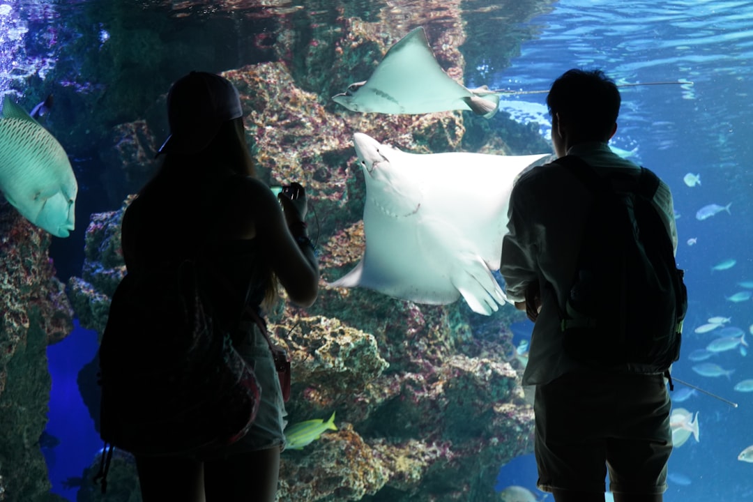Aquarius Revolutionizes Dating Through Technology and Innovation (image credits: unsplash)