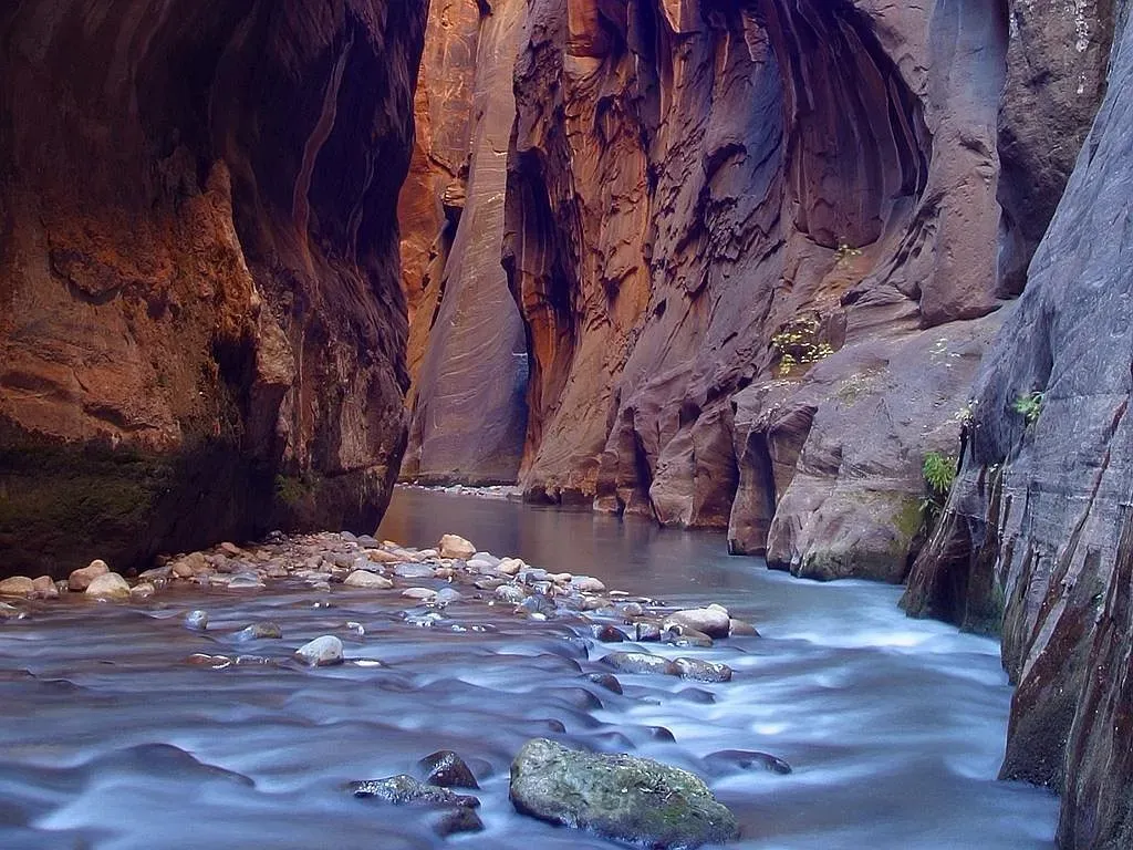 Within Canyon Narrows in Zion National Park (Image Credits: Pixabay)